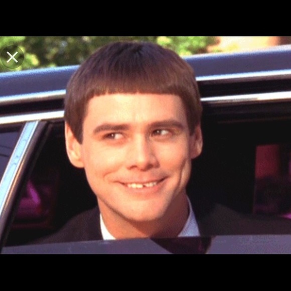 Meet your Posher, Trevor - Picture 1 of 1